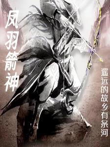 箭羽风息好用吗